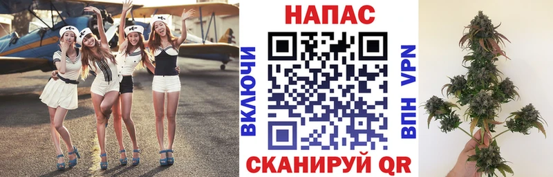 Каннабис MAZAR  Купить закладки  Нижнекамск 